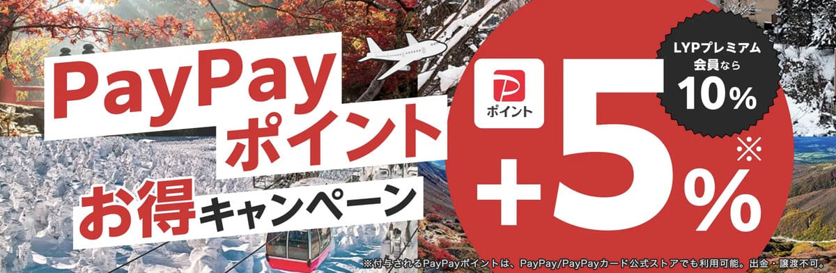 PayPayポイントお得キャンペーン