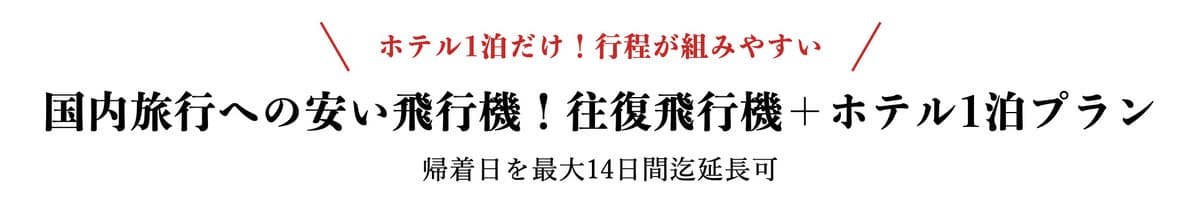 往復飛行機＋ホテル1泊プラン