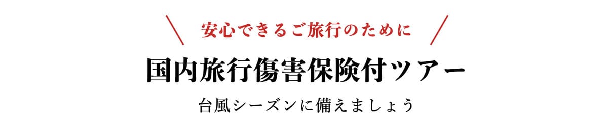 国内旅行傷害保険付ツアー