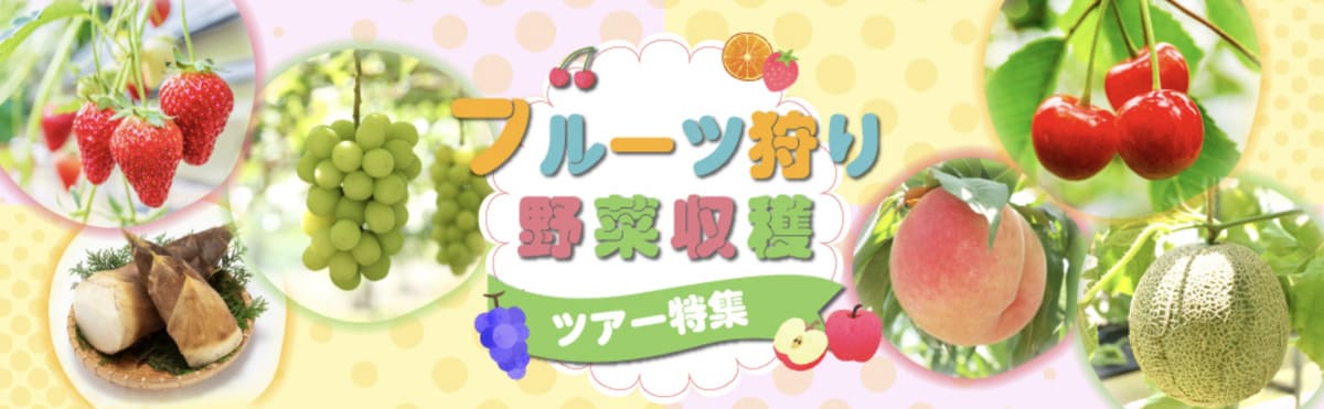 フルーツ狩り・野菜収穫ツアー